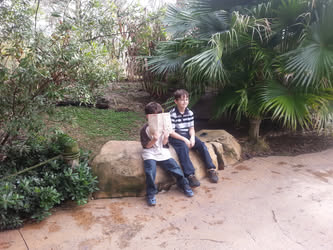 Kiosk Photo