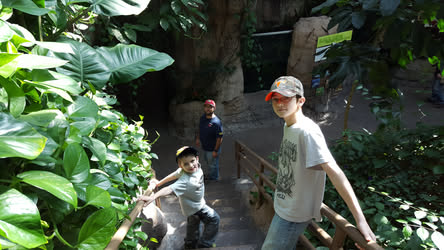 Kiosk Photo